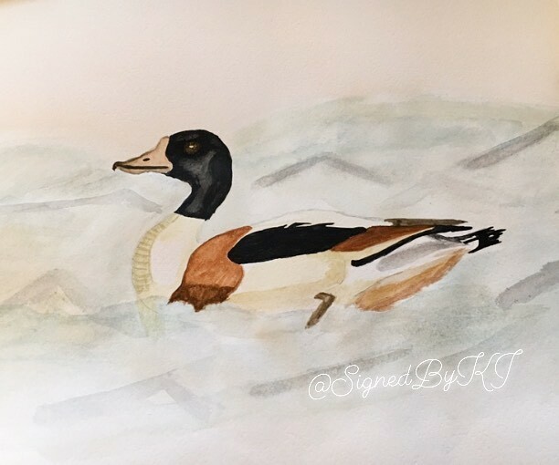 SignedByKJ's tweet photo. A recreation of a painting by my grandfather. The duck. 🦆 
Painting is very meditative for me. It’s an activity where you focus on every detail of what you are doing. The brush strokes, the mixing of colors to get just the right one, the amount of wa… https://t.co/DsvGBSTCm5 https://t.co/qwMc8ZYM1F