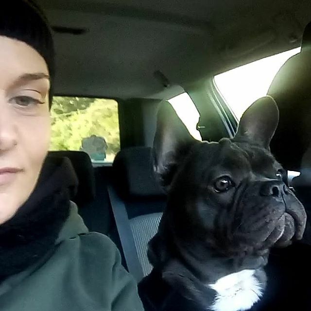 FrancescaPani's tweet photo. Con il coopilota...
who's driving?😰 https://t.co/PNn7yg0NsP https://t.co/Pf0dJV1MIj