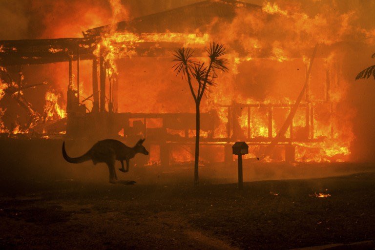 KikeDelgadoYT's tweet photo. Mientras se alimentan los rumores y memes sobre una posible Tercera Guerra Mundial, #Australia esta en llamas y viviendo una crisis sin precedentes que esta destruyendo el ecosistema. +500 millones de animales muertos y cientos de familias sin hogares 💔. #PrayForAustralia 😣🙏🏼 https://t.co/eB6ehAqaMB