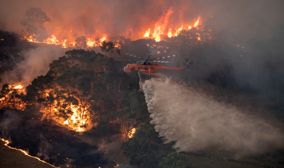 KikeDelgadoYT's tweet photo. Mientras se alimentan los rumores y memes sobre una posible Tercera Guerra Mundial, #Australia esta en llamas y viviendo una crisis sin precedentes que esta destruyendo el ecosistema. +500 millones de animales muertos y cientos de familias sin hogares 💔. #PrayForAustralia 😣🙏🏼 https://t.co/eB6ehAqaMB
