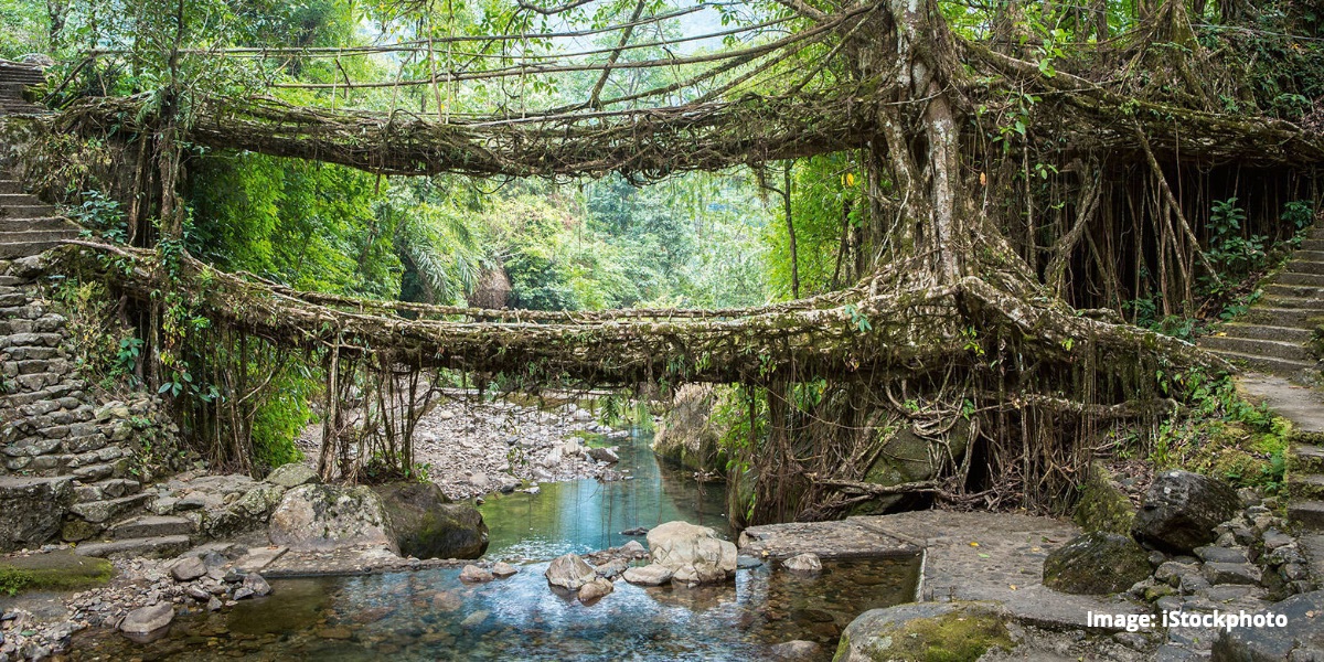 ETH_en's tweet photo. Biodegradable bridges: Researchers around @Lne_Chatzi and @mtibbitt are looking into #newmaterials to lay the foundations for #livingstructures that respond to their environment. https://t.co/azPU3znLof https://t.co/glcaMP9iq2