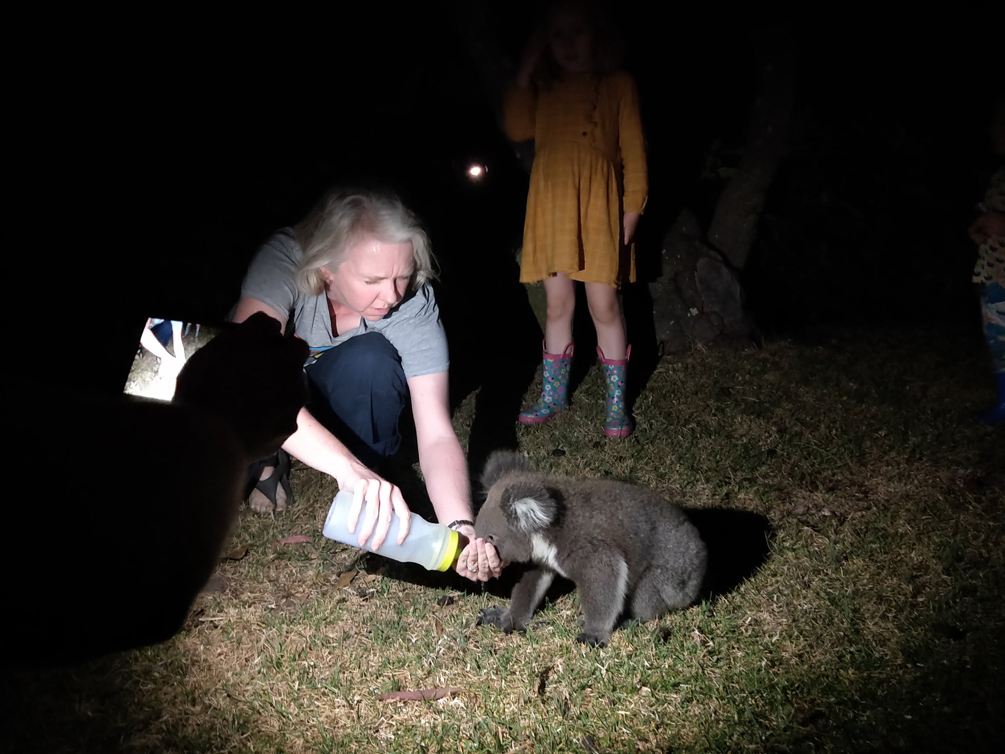 ENbOh33UYAE7snL?format=jpg&name=4096x409