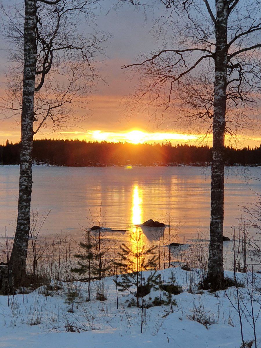 HapponenHanna's tweet photo. Aurinko nousee ihan joka aamu 🌞 https://t.co/xxbdpeJF54