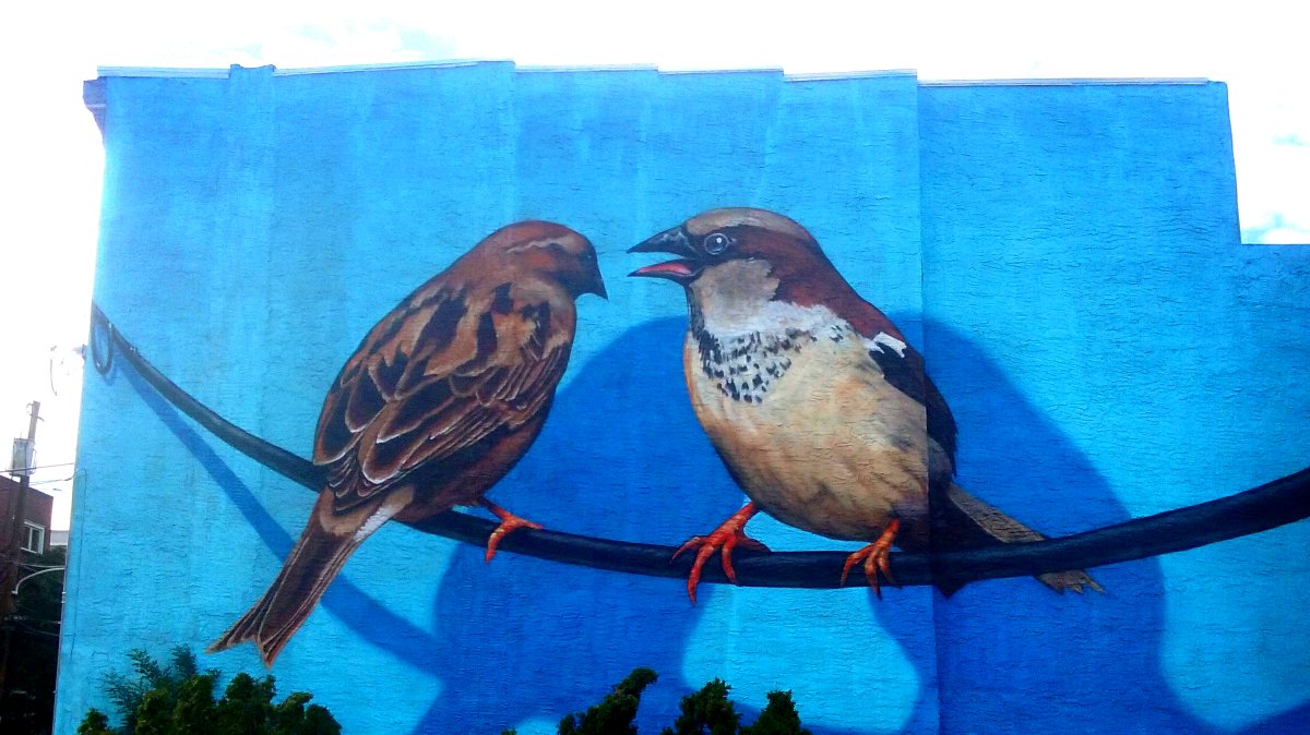 BellyRash's tweet photo. Birds on a wire - Philadelphia #streetart https://t.co/joQUhMUQD6