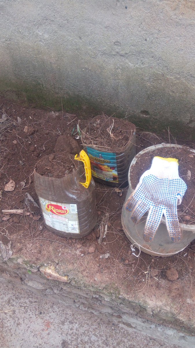 garden_ellen's tweet photo. #Challenge of the year 2020
We are challenging #everyone to grow some vegetables and fruit in available space and resources. For us 6 indeterminate tomatoes and some cucumbers will be enough to enjoy fresh organic produces
#urbamFarming #EatOrganic Enjoy what you grow https://t.co/afC1MUAhpn