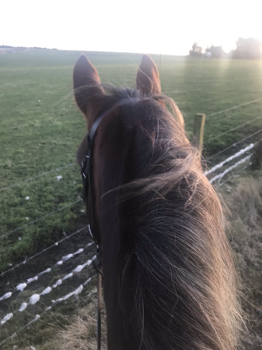 Lilly_thompson_'s tweet photo. Have you been up to anything this Winter? I have been riding my new pons😍☺️ https://t.co/koAsjZfLt7
