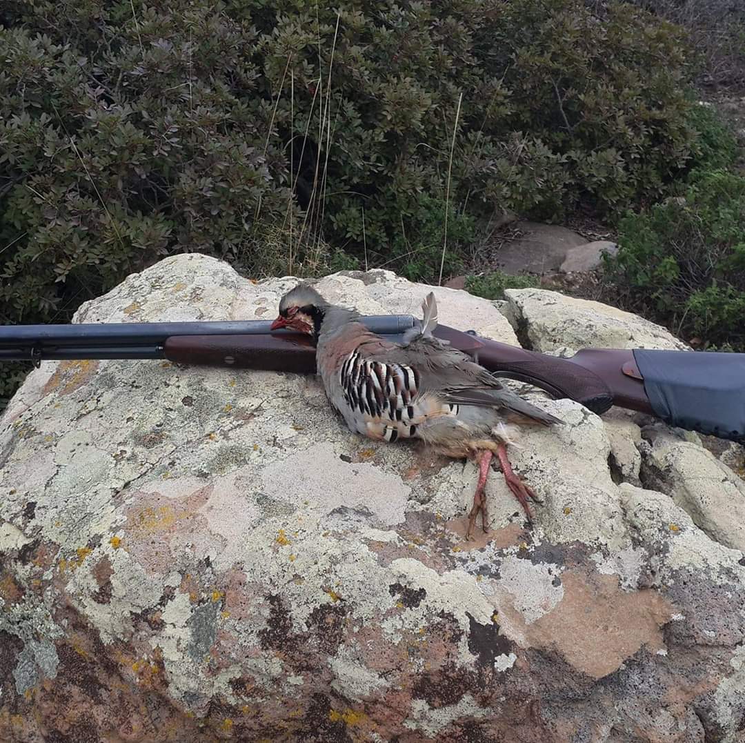 Kalkıp avcılığın spor olduğunu savunmayın❗❗❗

#cumartesi