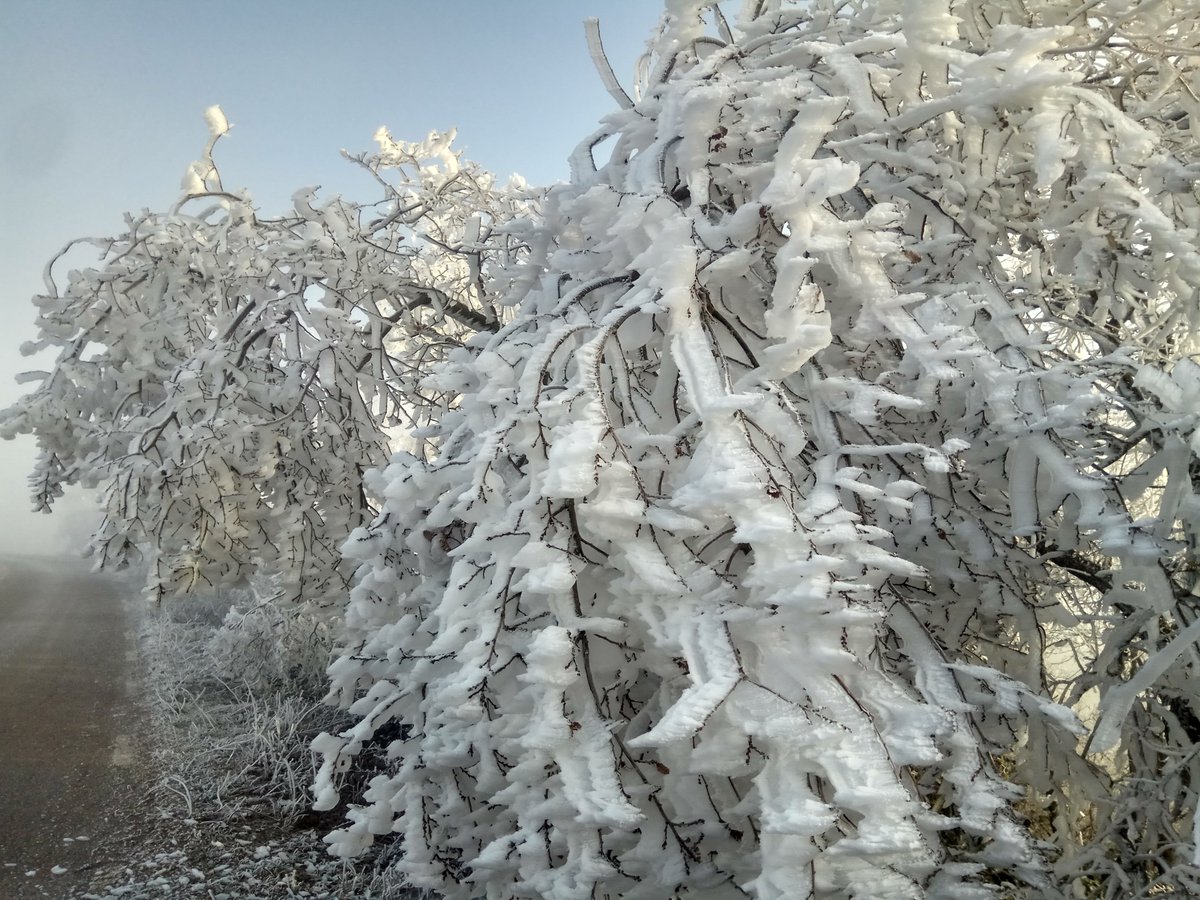 Observatori de Pujalt tweet media