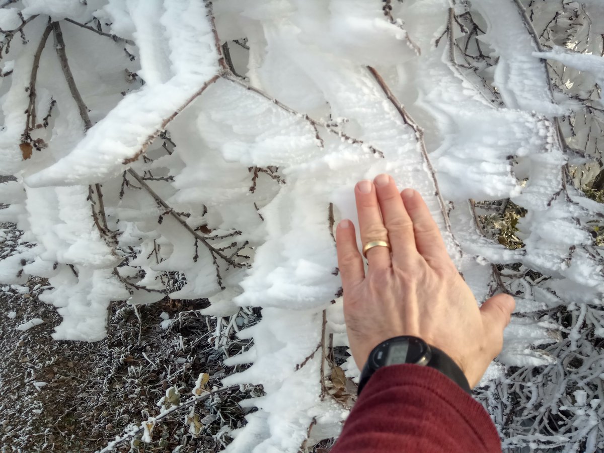 Observatori de Pujalt tweet media