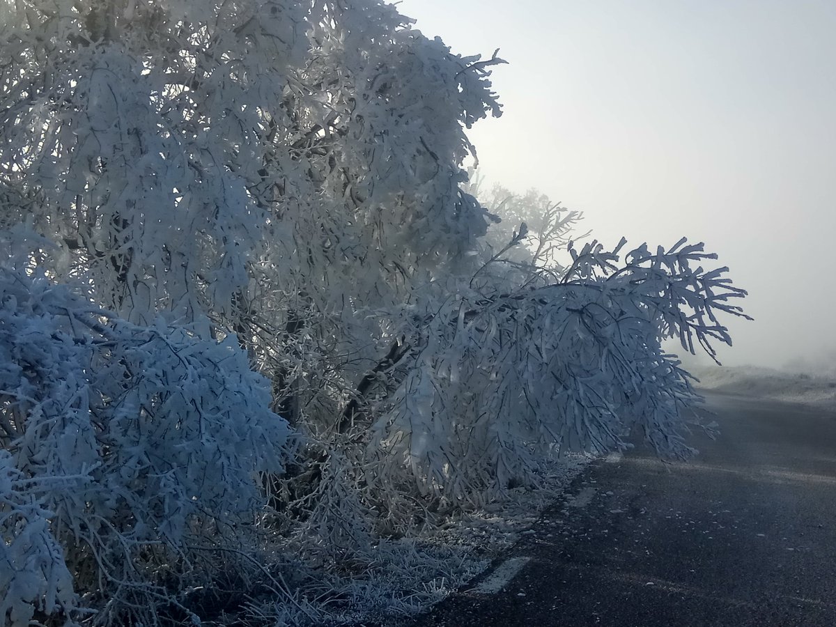 Observatori de Pujalt tweet media