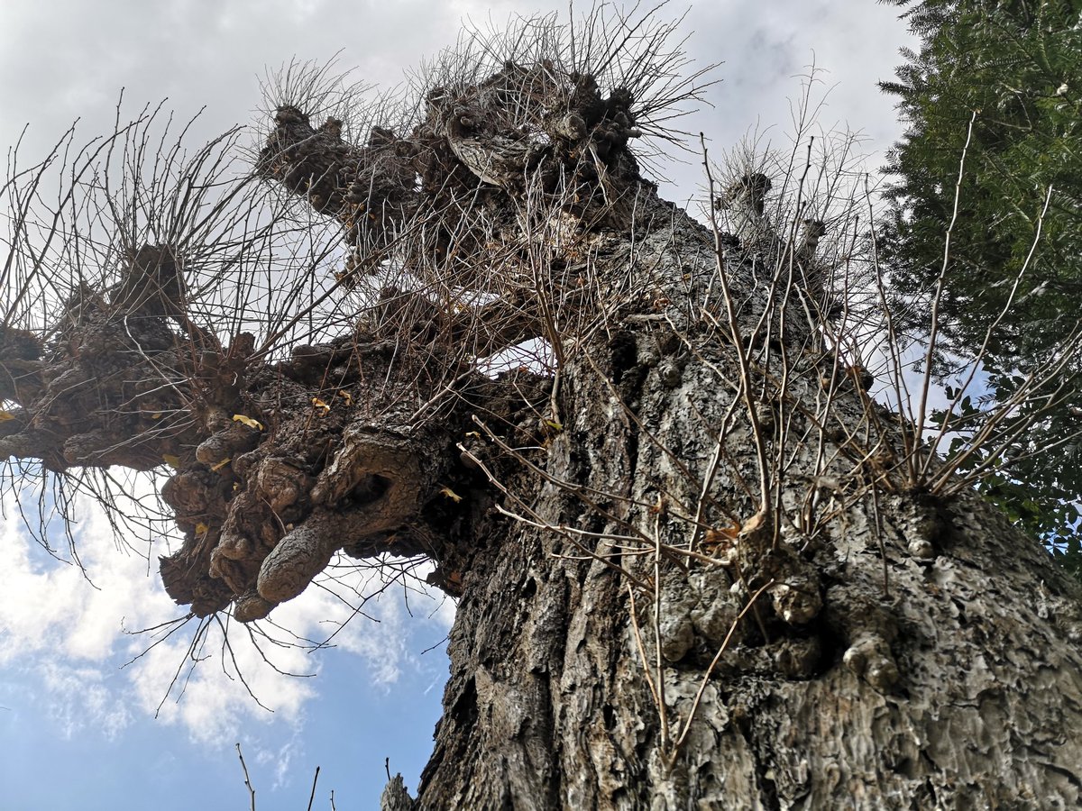 touring 8 tweet media