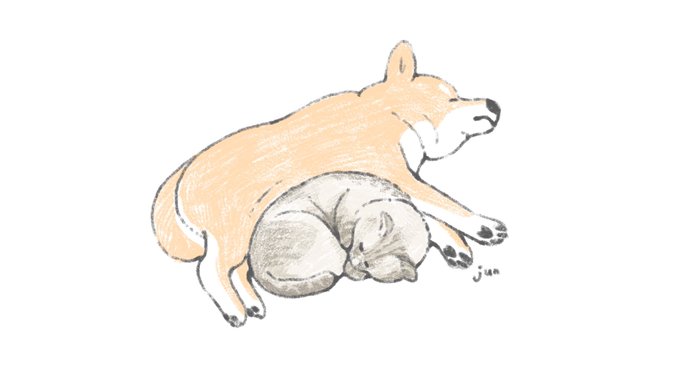 あたたかいね 