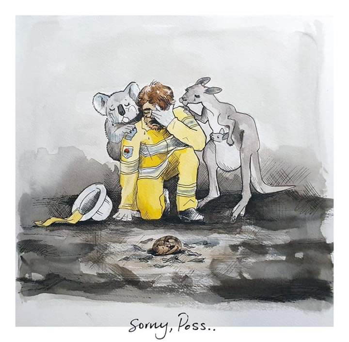 Humanymal's tweet image. Australia...😢💔 #animales #AustraliaOnFire  #incendiosAustralia