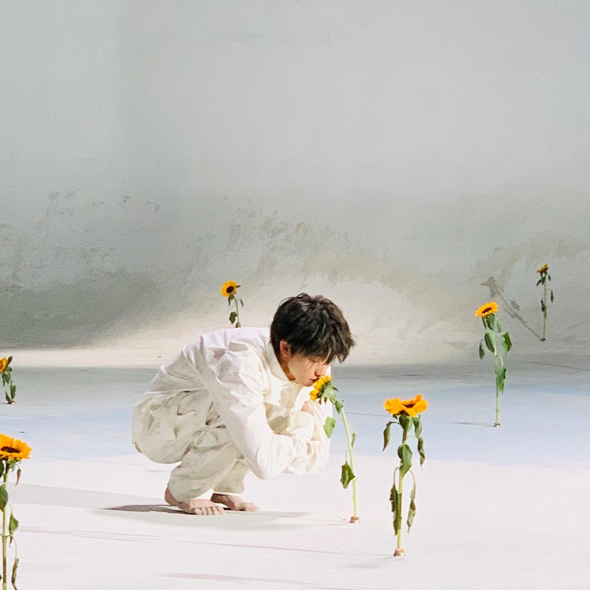 pledis_17's tweet photo. [17'S THE 8] 🖤🌻🖤 https://t.co/T1ARVmxpnK