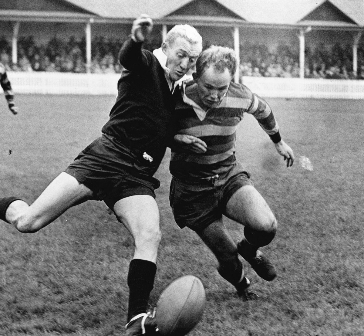 Alex Mead tweet media