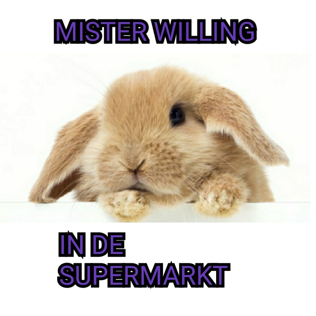 Sandra Ringoot tweet media