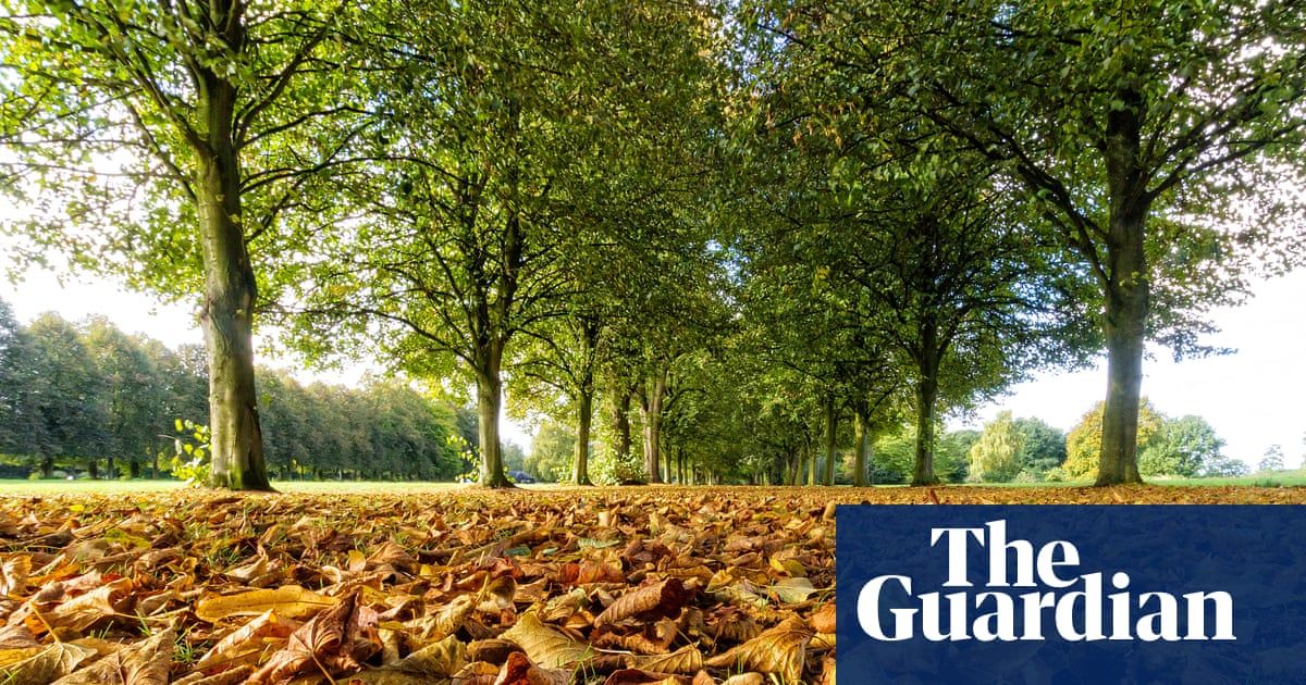 EAFormby's tweet photo. Replanting #Britain: 'It’s about the right #tree in the right place' > https://t.co/YZcTdxXTGx via @guardian If the UK is to meet its targets without further collateral damage to native #peatlands, #wildlife and scenery, past mistakes must be avoided. https://t.co/NPhqEvRjUl