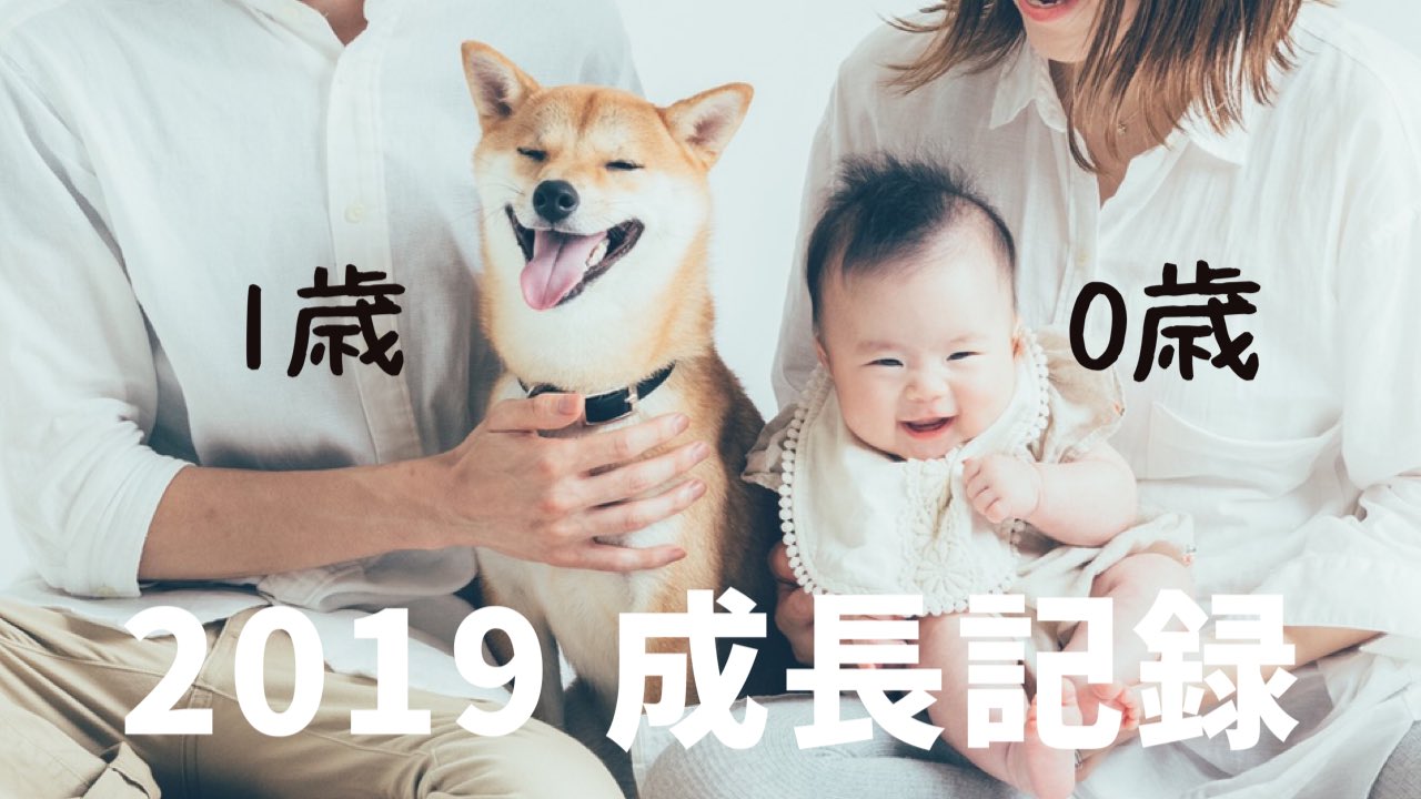 柴犬りんご郎 去年我が家に娘が増え りんご郎と触れ合いながら成長していく様子を 動画にまとめてyoutubeに公開しましたのでよかったら見てみてください 1歳の柴犬と 一緒に育った0歳娘の成長記録 動画はこちらから T Co Mfehk5awgm