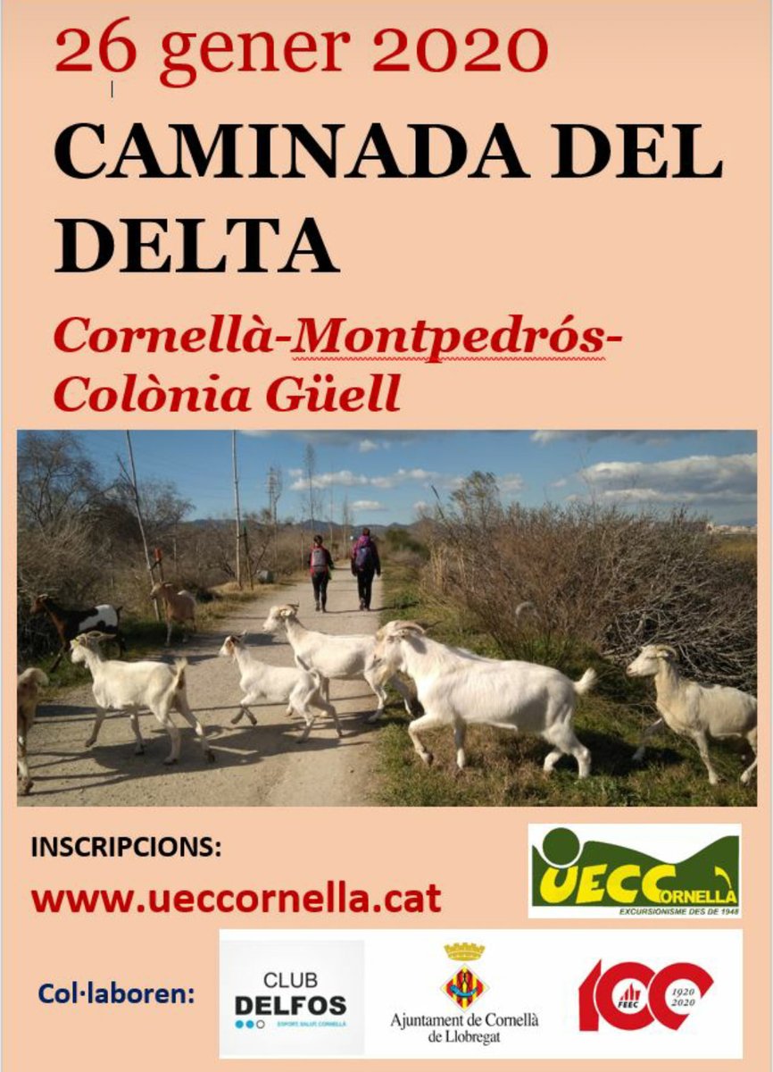 ueccornella's tweet photo. Inscripció oberta! https://t.co/8WInriaNQq
#ueccornella #BaixLlobregat #Cornellà @FEEC_cat @QFerACornella @lesportalpunt @apropcornella @JovesCornella @lapremsadelbaix https://t.co/dBs7AmqNuD