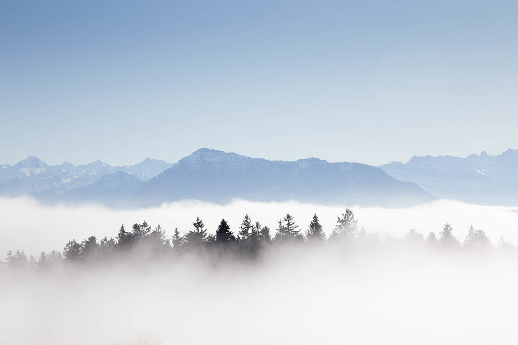 lukasboesch's tweet photo. Sea of Fog: At a Promenade along the border of the Fog one can see as fantastic images as this https://t.co/VSqDZbLEiD