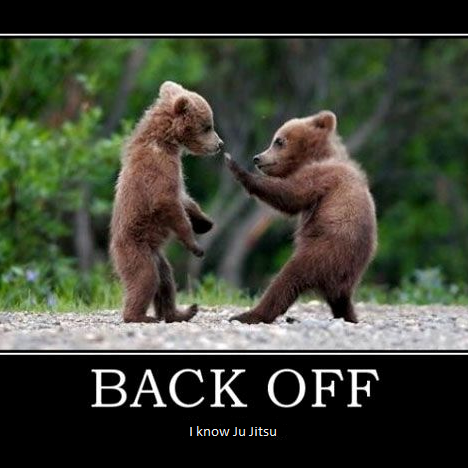 Rob Phelps tweet media