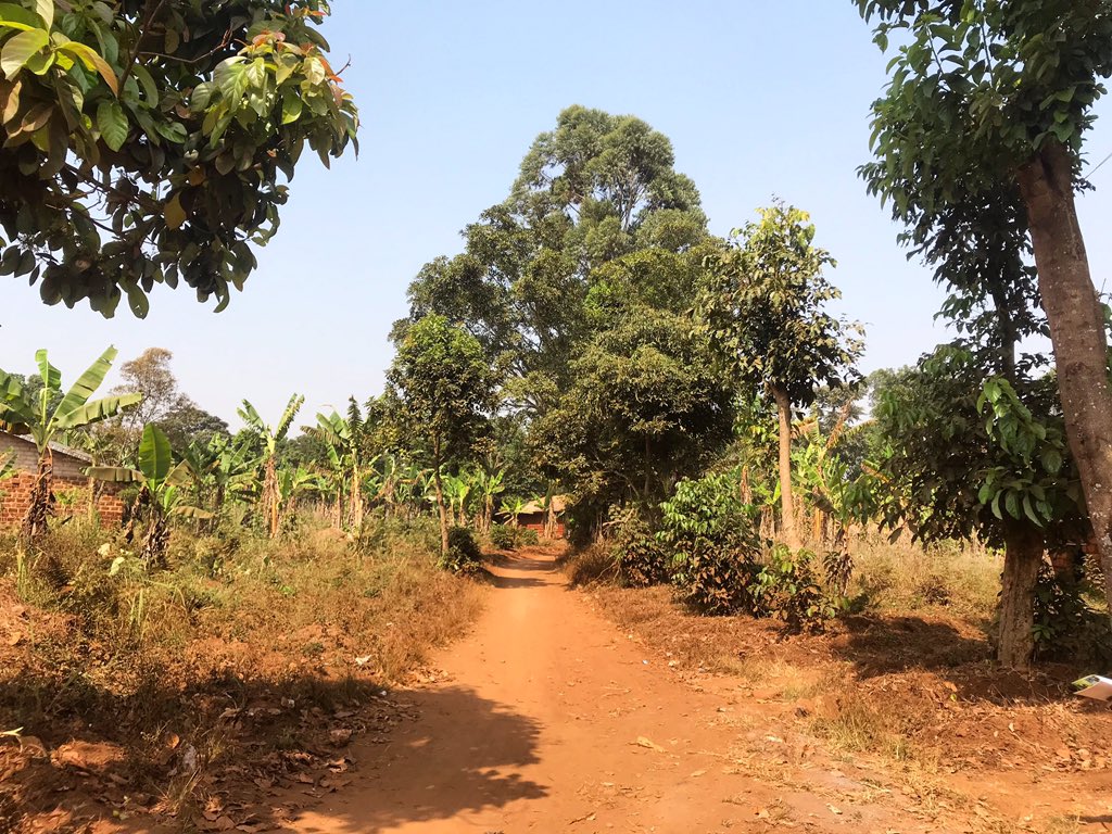 mtlmegapixel's tweet photo. Kongso #Bamougoum #Cameroun #OuestCameroun https://t.co/Klb1boHS7V