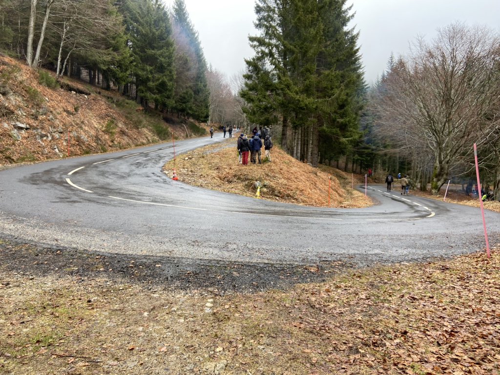 DiaInternacionalDeLaMujer - World Rally Championship: Temporada 2020 - Página 3 ENblB_QXYAAwaa8?format=jpg&name=medium