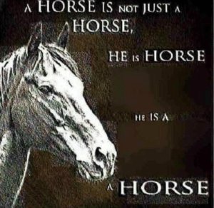 💙🐴 Horuss Zahhak 🐴💙 (@androittech) on Twitter photo 