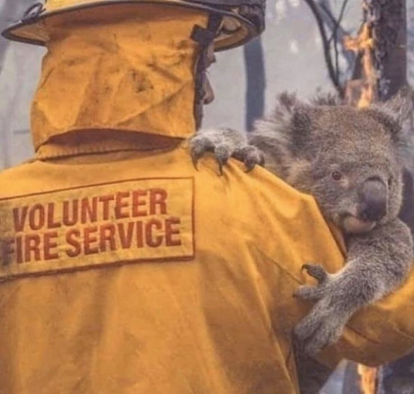 valleysqueenx's tweet photo. Why do the catastrophic scenes in Australia not alarm anyone!? 

THERE IS A FIRE IN AUSTRALIA THE SIZE OF MANHATTAN 

What if instead of thinking of Brexit and going to war with Iran we actually fucking helped one-another and save the god damn planet! 🌍 #AustraliaOnFire https://t.co/cwksGiZbBj