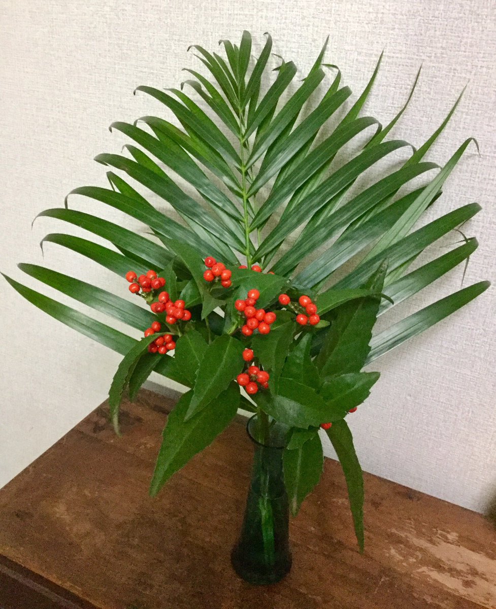 草野 祐 En Twitter ハイターを少量入れると良いと聞いて1滴入れてみた お花にも入れた 部屋が花だらけでゴキゲン 草野 祐 En Twitter ハイターを少量入れると良いと聞いて1滴入れてみた お花にも入れた 部屋が花だらけでゴキゲン