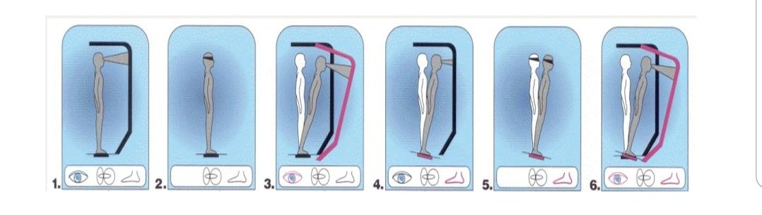 MOVEJournal's tweet photo. ¿Qué efectos provoca la #ImagineríaMotora en el sistema de control postural en sujetos sanos? @CsarCuesta @slermalara #NeurocienciayEjercicio Puedes leerlo aquí: https://t.co/Avdm46lWR3 https://t.co/OlZdgauUXy