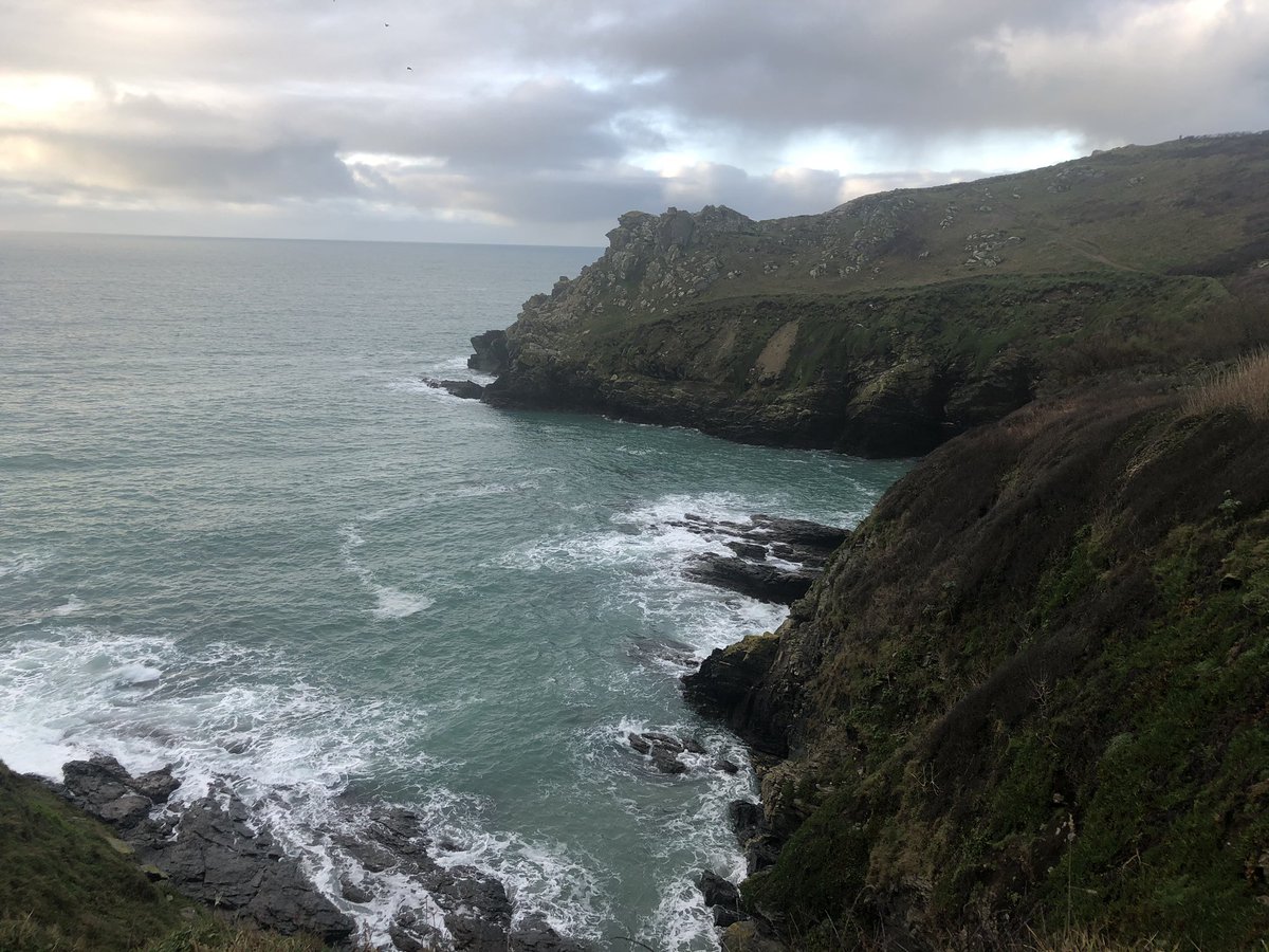 mybordercollie's tweet photo. Early morning walking - Bessys and piskies cove #dogsoftwitter #cornwall  @iwalkc @BestDogPhotos @Walk_Cornwall @WalksBritain @WildWalksTV @swcoastpath https://t.co/sJDDd9w5UE