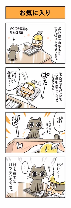 うちのネコは飼い主に優しい。「お気に入り」#猫漫画 #黒猫 #猫 #ネコ #保護猫 #うちのネコは飼い主に優しい 