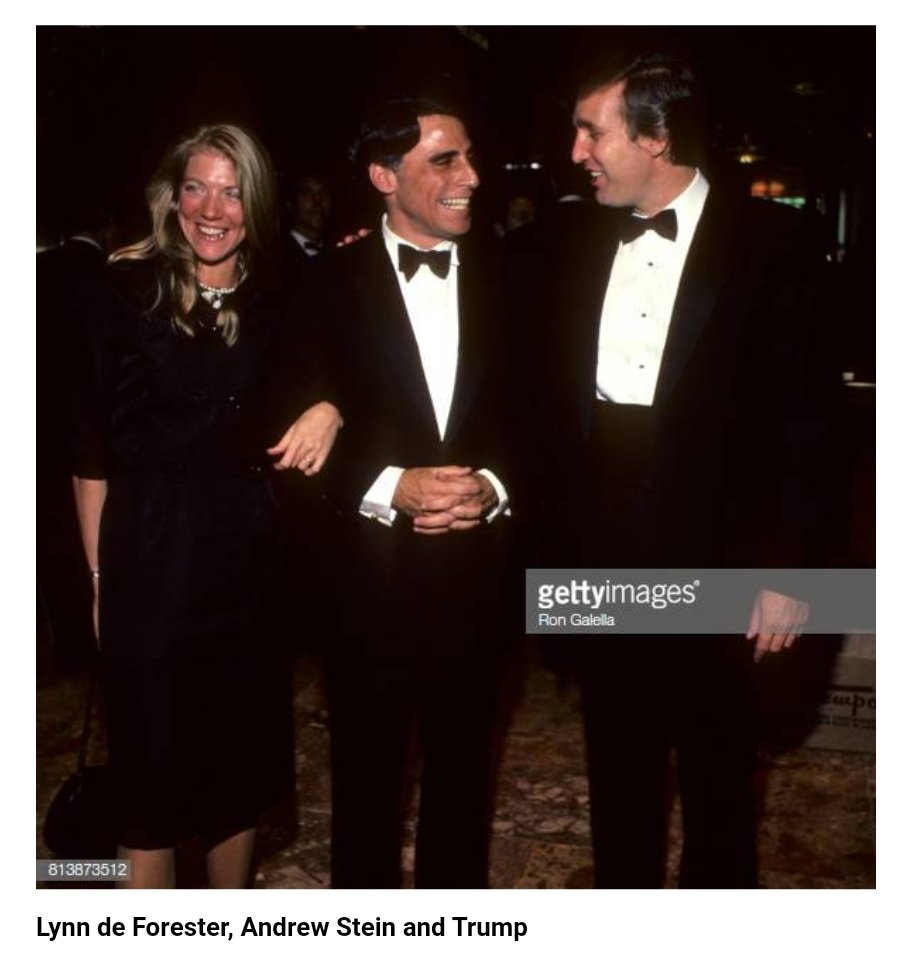 Lynn Rothschild, chair of the Rothschilds family investments and wife of British billionaire Sir Evelyn Rothschild, was one of the names on Epstein’s private jet log.