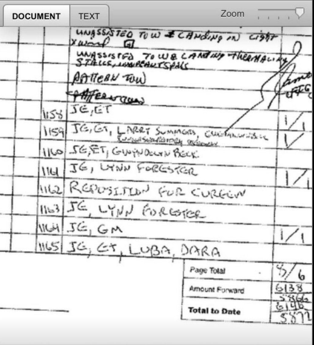 Lynn Rothschild, chair of the Rothschilds family investments and wife of British billionaire Sir Evelyn Rothschild, was one of the names on Epstein’s private jet log.