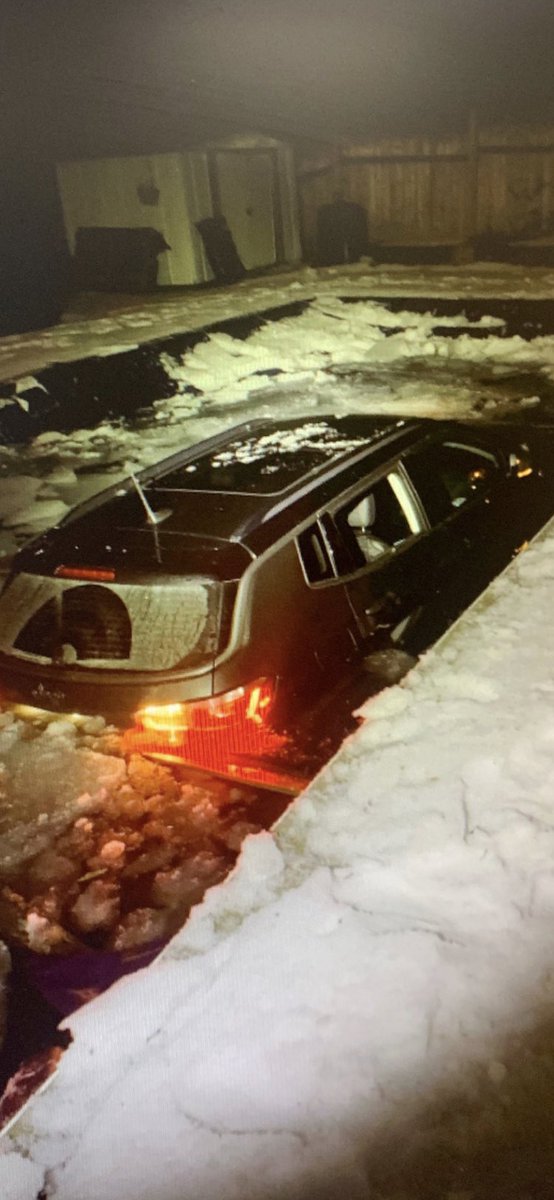 BarriePoliceK9's tweet photo. PSD Serge located a driver early this morning who fled from his vehicle after parking in a no parking zone. https://t.co/tCrHWx7wLh
