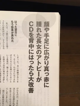 画像 / Picture