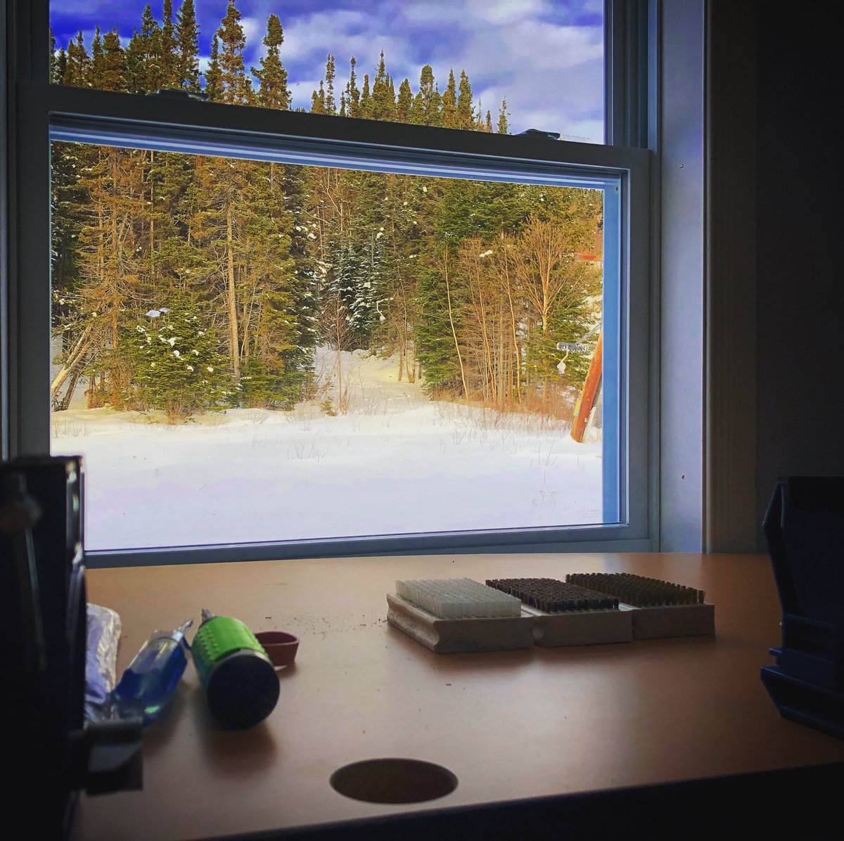 Pretty #goodview from this #skishop and #snowboardshop work bench. #skishoplife #skiresort #labradortourism #happyvalleygoosebay #arcticgateway  #adventurelabrador