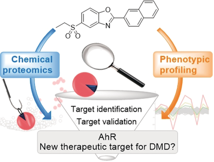 Angewandte Chemie tweet media