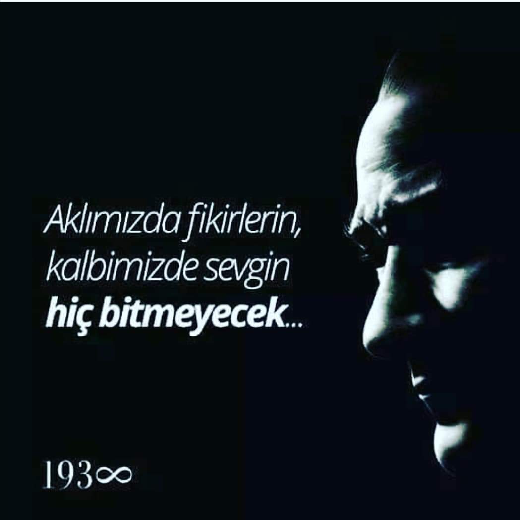 🌹Gülden Albay #ATA🇹🇷 tweet media