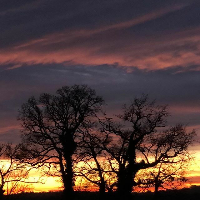 checovenier's tweet photo. #krast #sunset in #lipica #sezana #carsolicesimo https://t.co/urS0LCphzs https://t.co/s9xLMwYqkJ