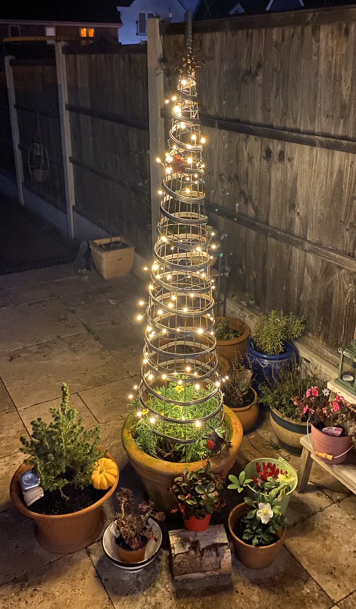 blackcatbutton's tweet photo. @NigelSlater Am I allowed to keep mine up if I remove the star? #alternativetree https://t.co/CU1M9VEexq