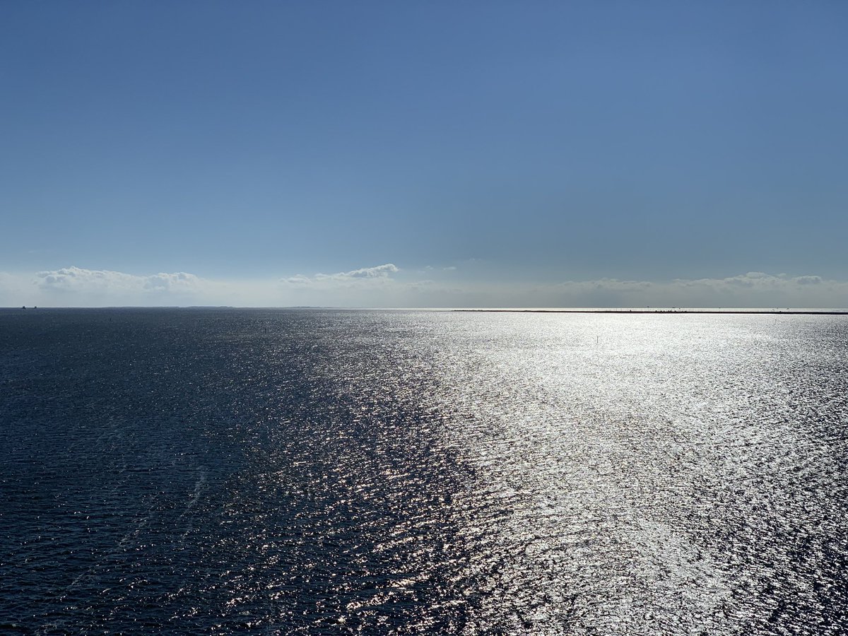 JennieHeines's tweet image. #YangGang Even on the work out you gotta sport the the #YangMerch #MATH @AndrewYang @BonnieFinnie @drewrs1973