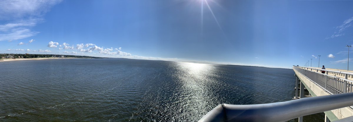 JennieHeines's tweet image. #YangGang Even on the work out you gotta sport the the #YangMerch #MATH @AndrewYang @BonnieFinnie @drewrs1973