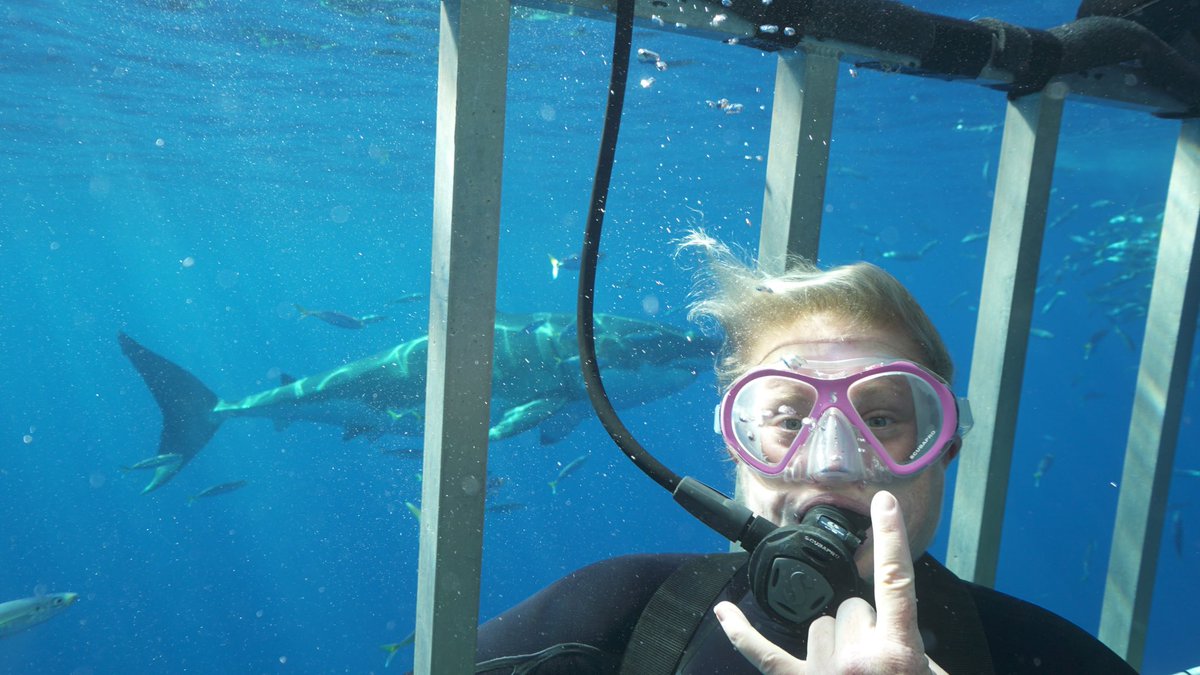 C_C_Wagner's tweet photo. I forgot to post my 2020 Isla Guadalupe Great White “shark selfie.” 😆❤️🦈🤘🏻📸: Suzanne Hargrove #islandercharters #greatwhite #islaguadalupe https://t.co/VY9vixhwo1