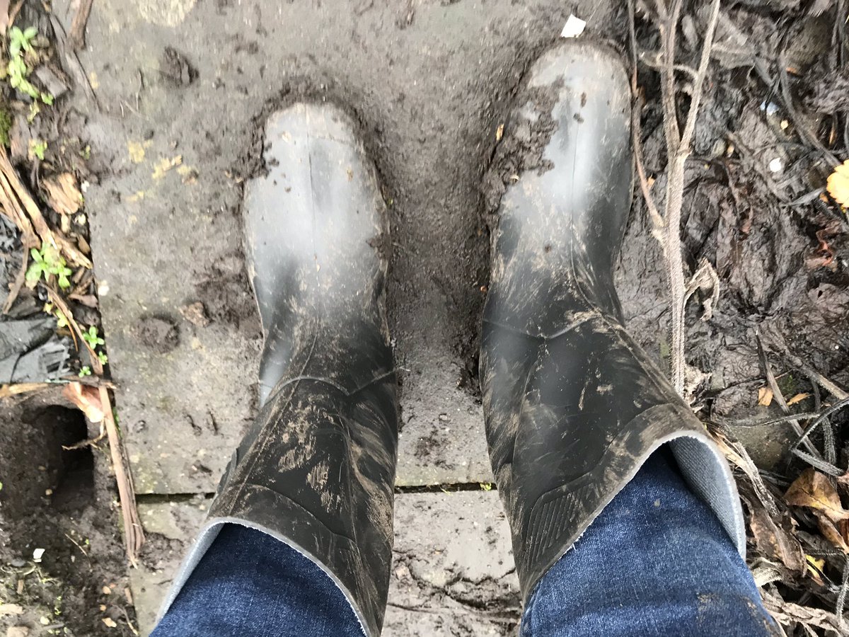 crooks_caroline's tweet photo. Productive day on the #allotment before and after #plot12a #growyourown #Wellbeing https://t.co/8NKrr2TnuR