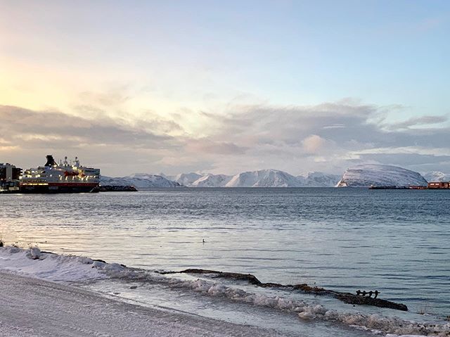 salijji's tweet photo. Hammerfest won’t see the sun come up until Jan 22nd. Even then it’ll be for an hour between 11 and 12. Until then they have this remarkable twilight in the late morning, going totally dark again after midday. 
There are rumours of polar bears walking the streets here and you can https://t.co/7x7dKrEiam