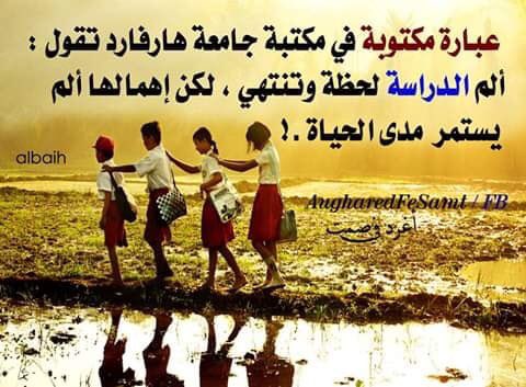 sayoud44534412's tweet image. 