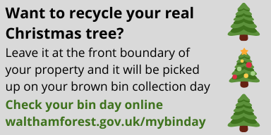 wfcouncil's tweet photo. 🎄 🌲 Want to recycle your real Christmas tree? We'll take it! Just leave your tree at the front boundary of your property and it will be picked up on your brown bin collection day 🚚 https://t.co/lsolykJtq9