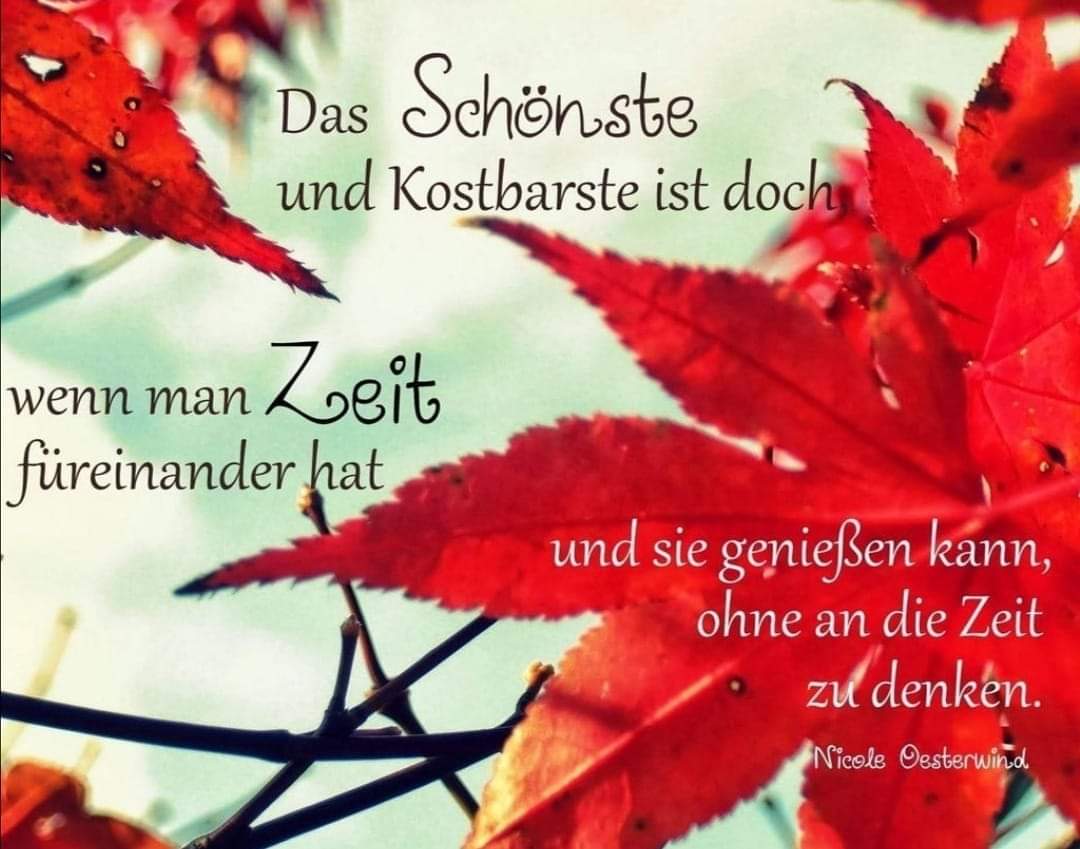 sabinebine_bine's tweet photo. #spruche https://t.co/frQA6Bu3fg